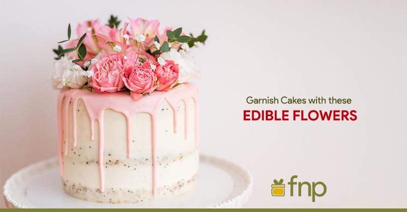 5 Edible Flowers that you can use to Garnish Cakes