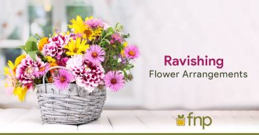 Different Types of Flower Arrangements for All Occasions