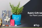 Rakhi Gift Ideas for Plant Lovers