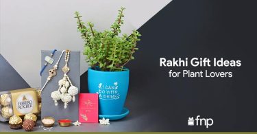 Rakhi Gift Ideas for Plant Lovers