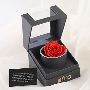 Red Forever Rose Gift Box