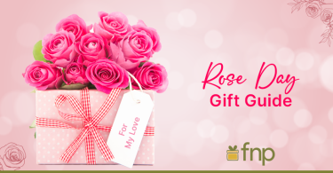 rose day gift idea