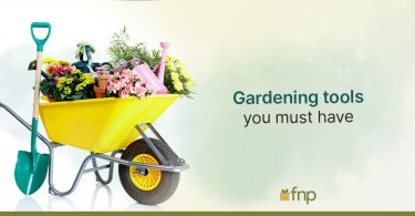 Must have Gardening Tools