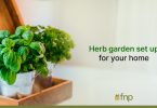 Herb Garden for your home