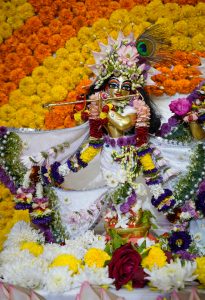 Lord Krishna Idol