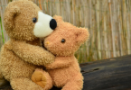 Teddy Day Celebration