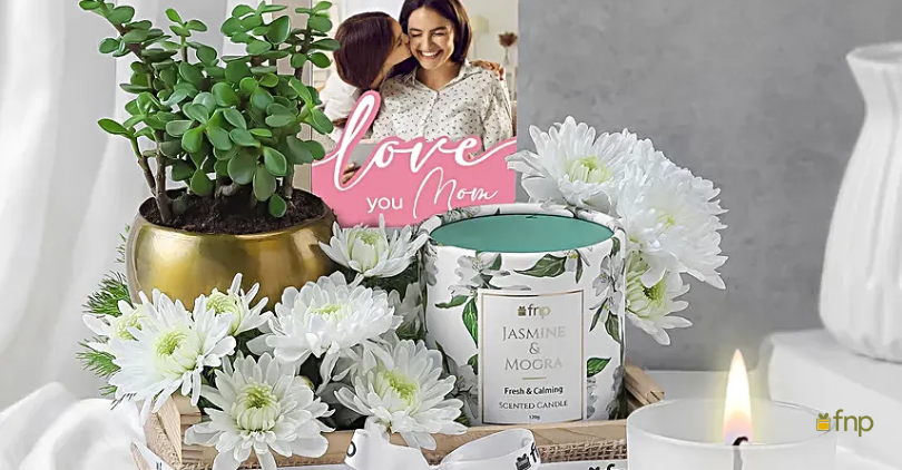 Plants for mother's day