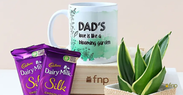 Father's Day Gift Ideas