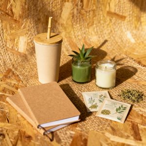 Bhai Dooj Eco Friendly Gifts