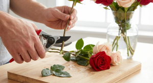 ose stems being cut at a precise 45-degree angle