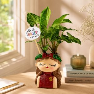 Plants for Teacher's Day